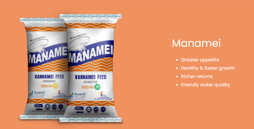Avanti Feeds